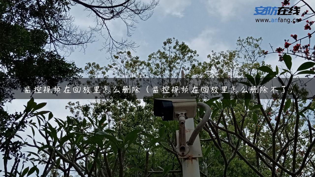 监控视频在回放里怎么删除（监控视频在回放里怎么删除不了）