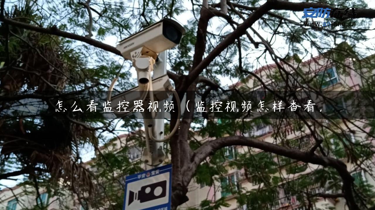 怎么看监控器视频（监控视频怎样查看）