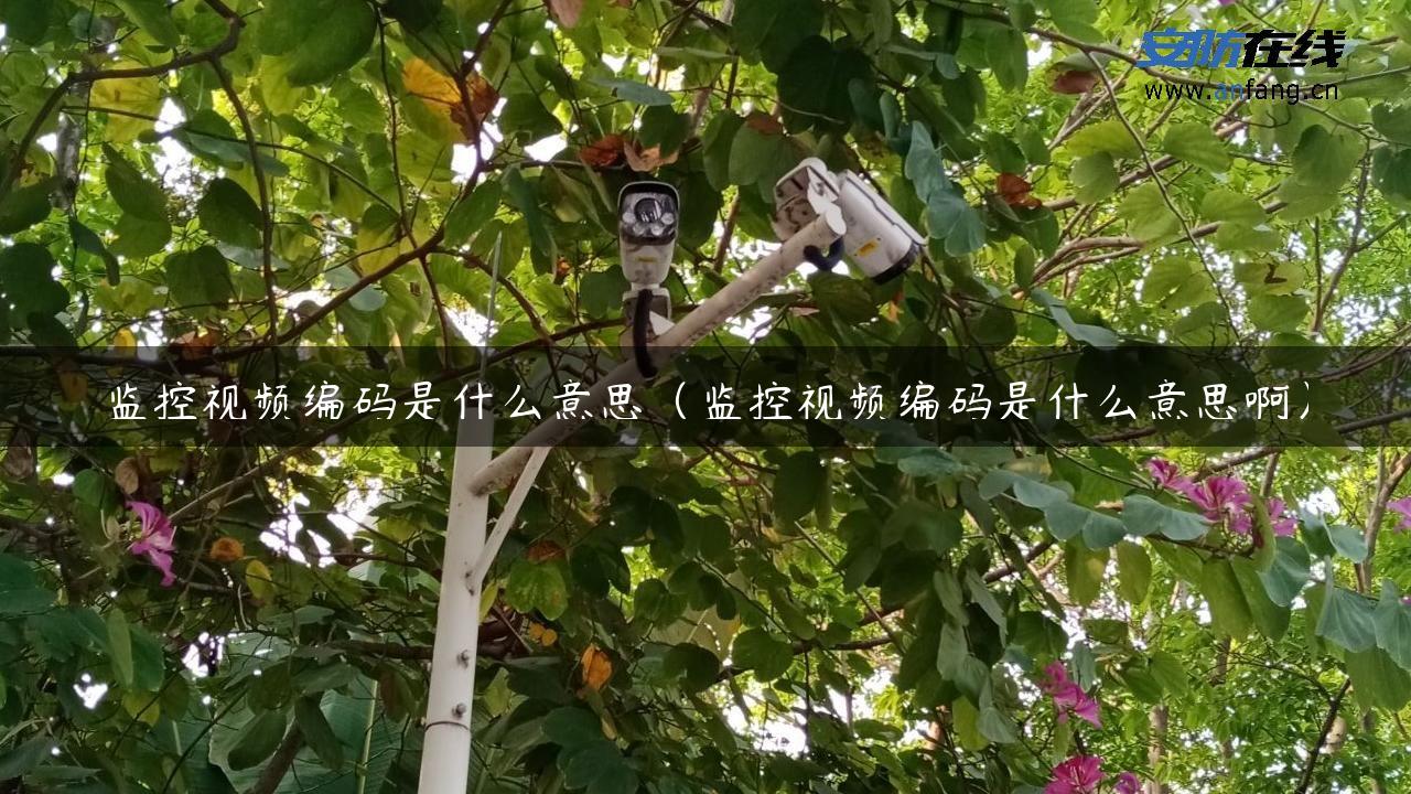 监控视频编码是什么意思（监控视频编码是什么意思啊）