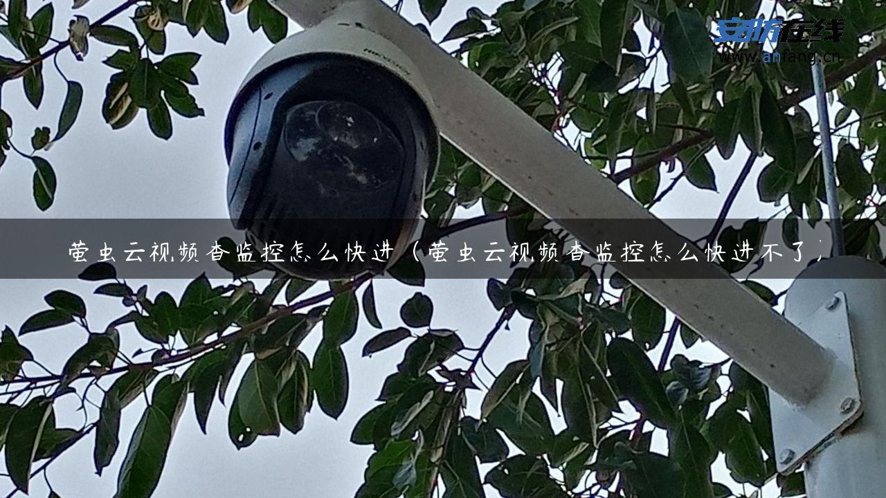 萤虫云视频查监控怎么快进（萤虫云视频查监控怎么快进不了）