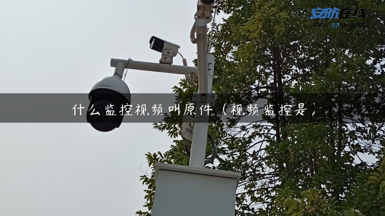 什么监控视频叫原件（视频监控是）