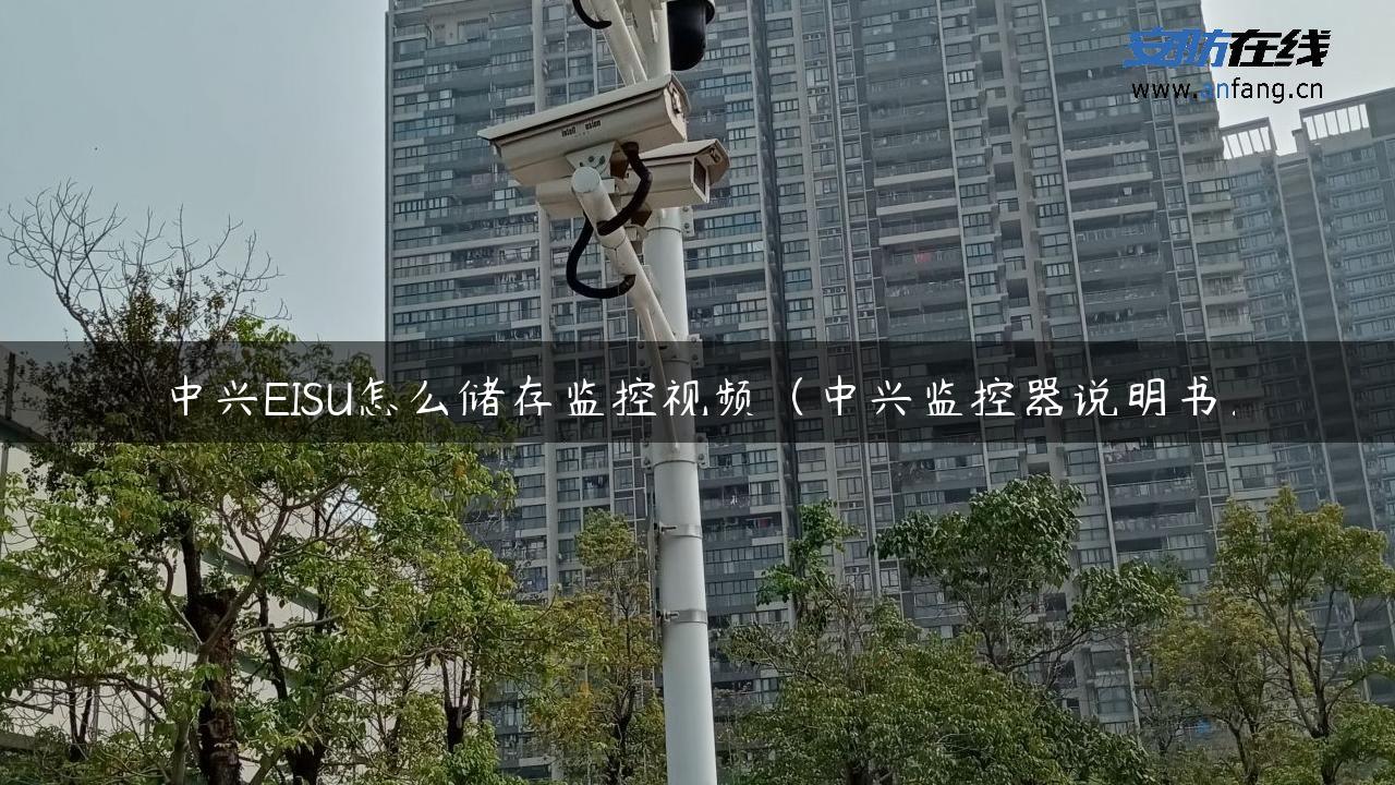 中兴EISU怎么储存监控视频（中兴监控器说明书）