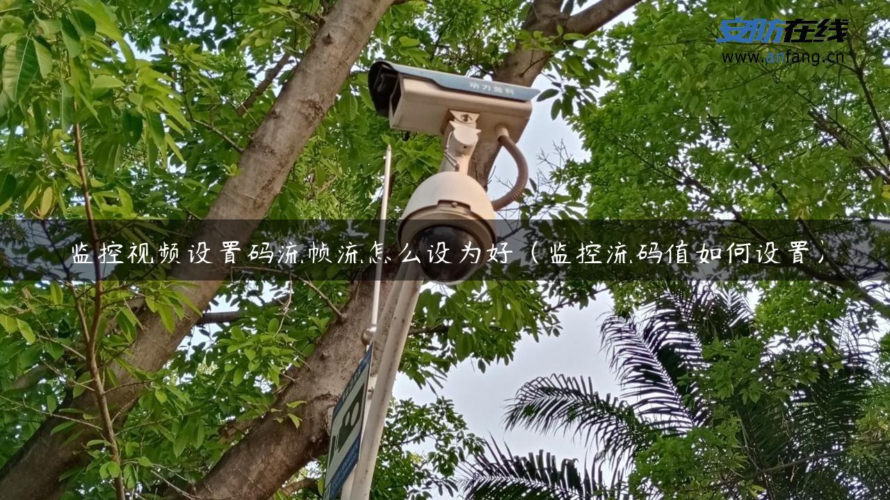 监控视频设置码流帧流怎么设为好（监控流码值如何设置）