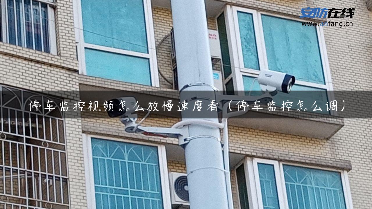 停车监控视频怎么放慢速度看（停车监控怎么调）