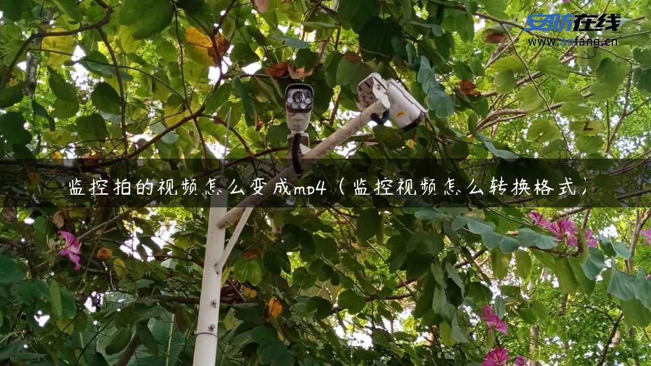 监控拍的视频怎么变成mp4（监控视频怎么转换格式）