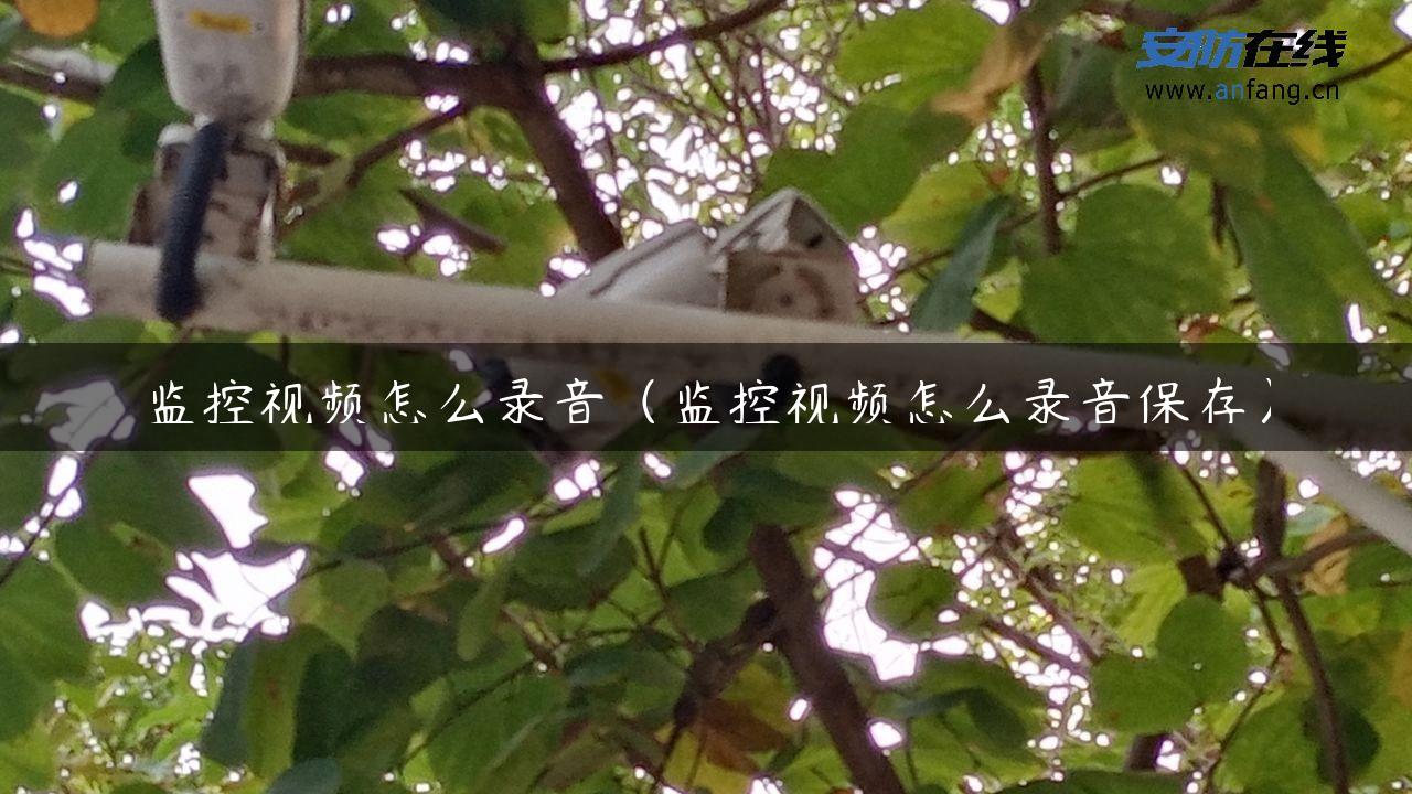 监控视频怎么录音（监控视频怎么录音保存）