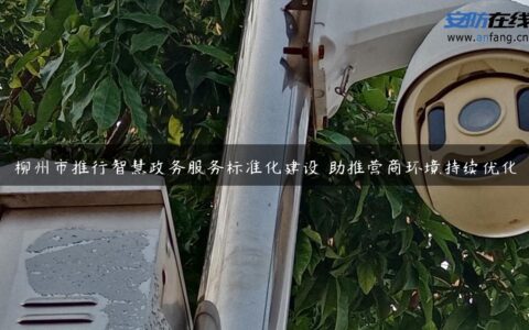 柳州市推行智慧政务服务标准化建设 助推营商环境持续优化