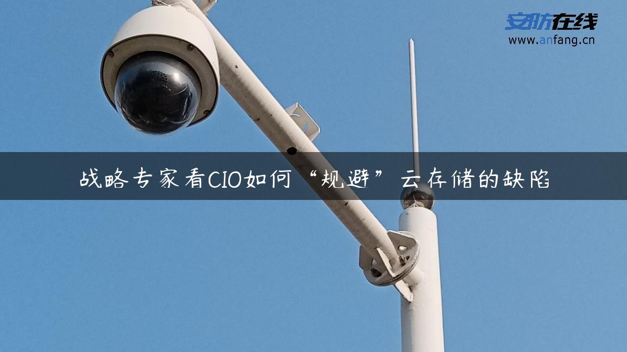 战略专家看CIO如何“规避”云存储的缺陷