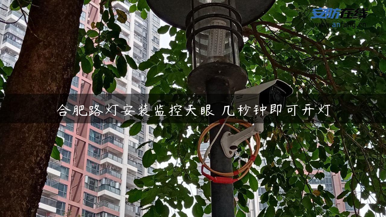 合肥路灯安装监控天眼 几秒钟即可开灯