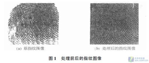 自己就是通行证 浅谈人体生物识别技术