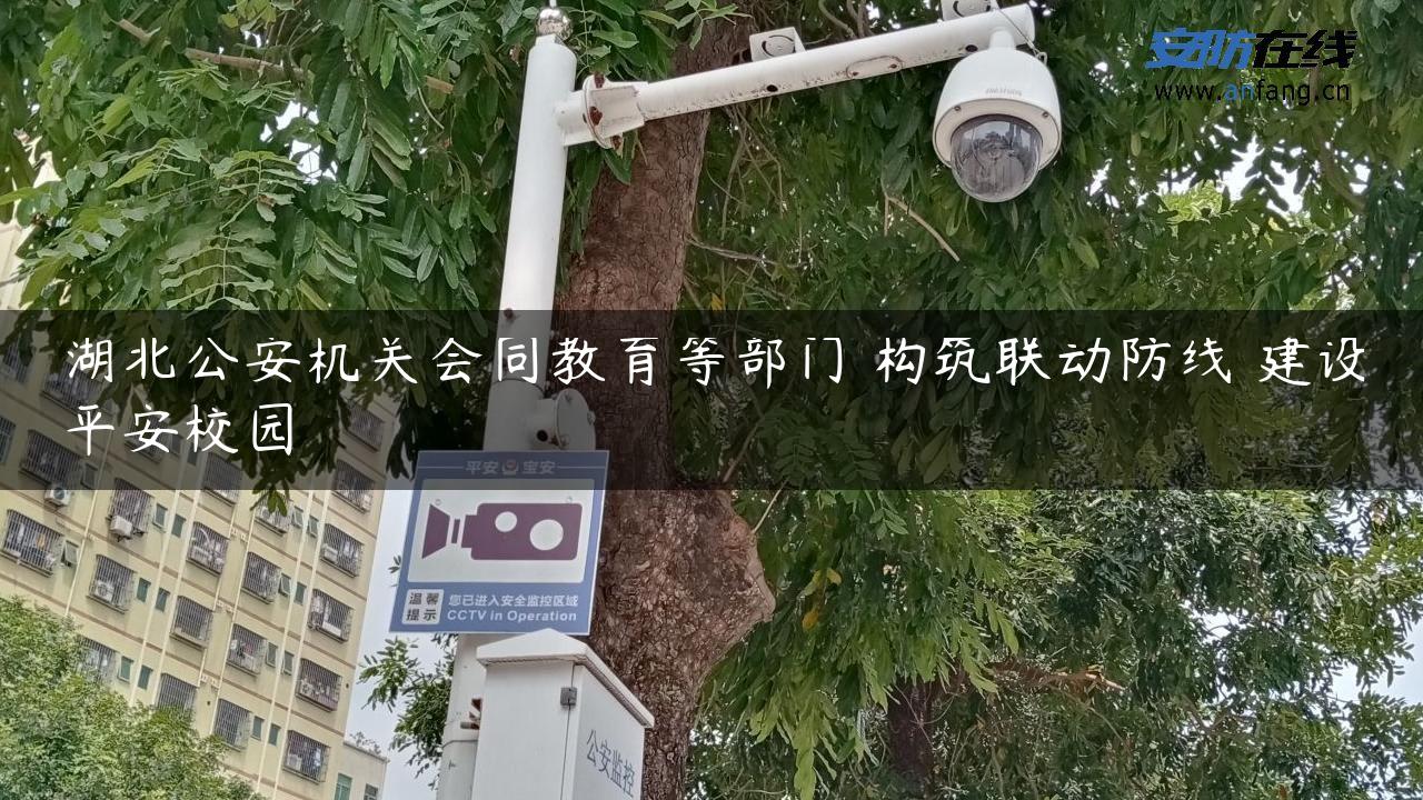 湖北公安机关会同教育等部门 构筑联动防线 建设平安校园