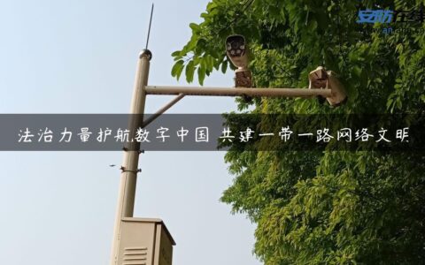 法治力量护航数字中国 共建一带一路网络文明