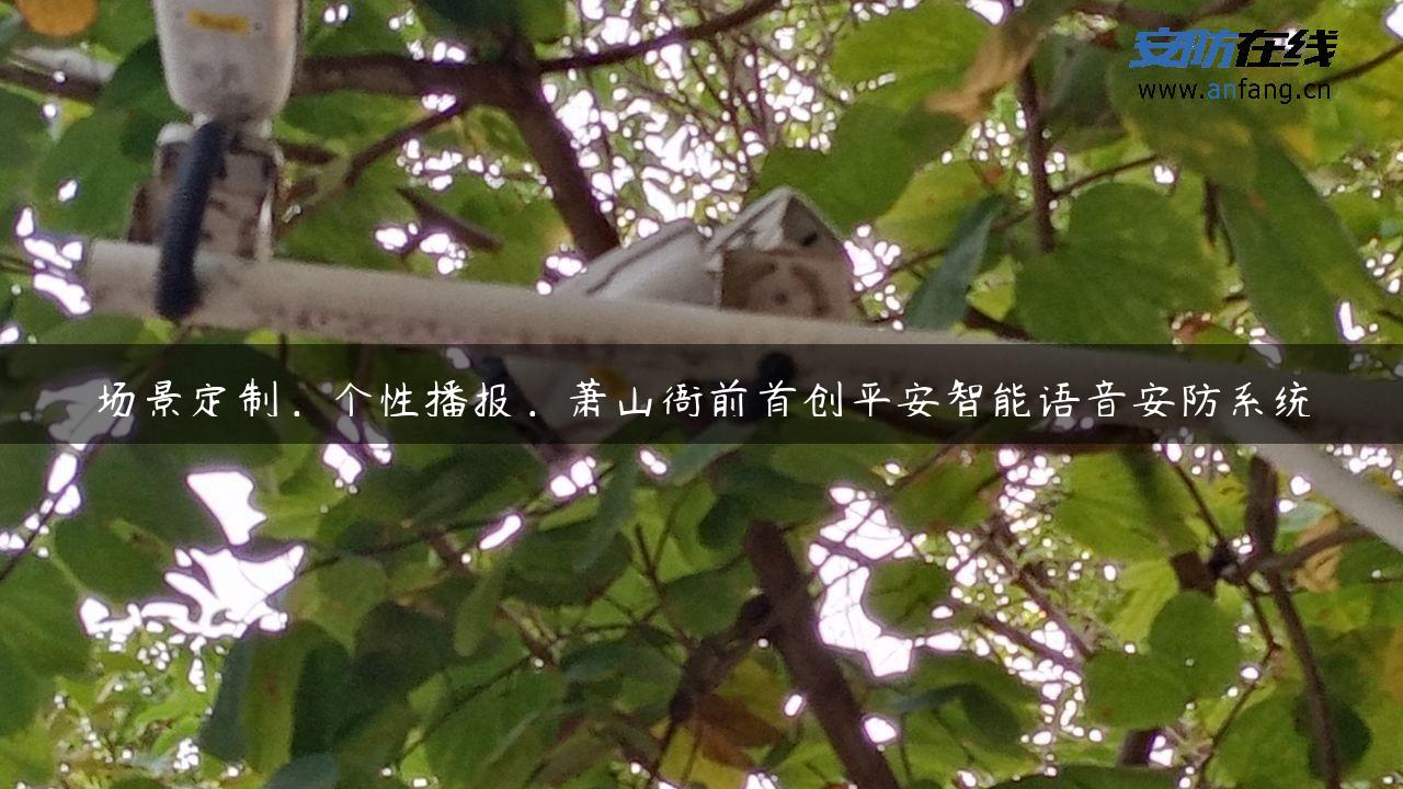 场景定制，个性播报，萧山衙前首创平安智能语音安防系统