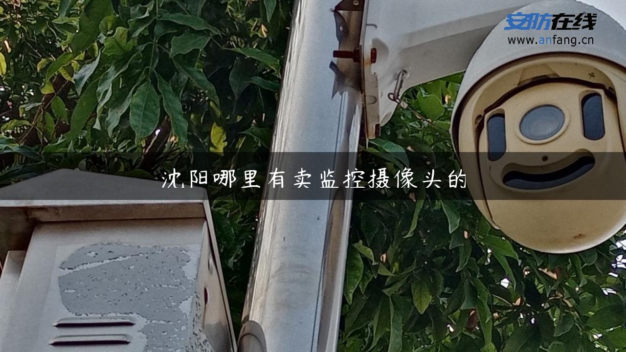 沈阳哪里有卖监控摄像头的