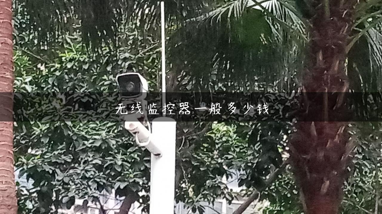 无线监控器一般多少钱