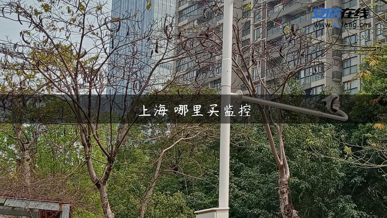 上海 哪里买监控