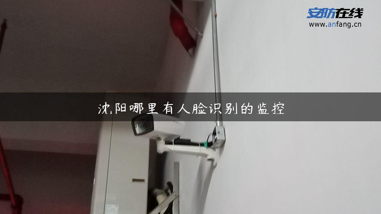 沈阳哪里有人脸识别的监控