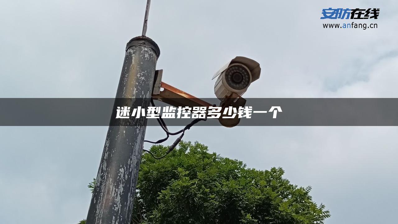 迷小型监控器多少钱一个