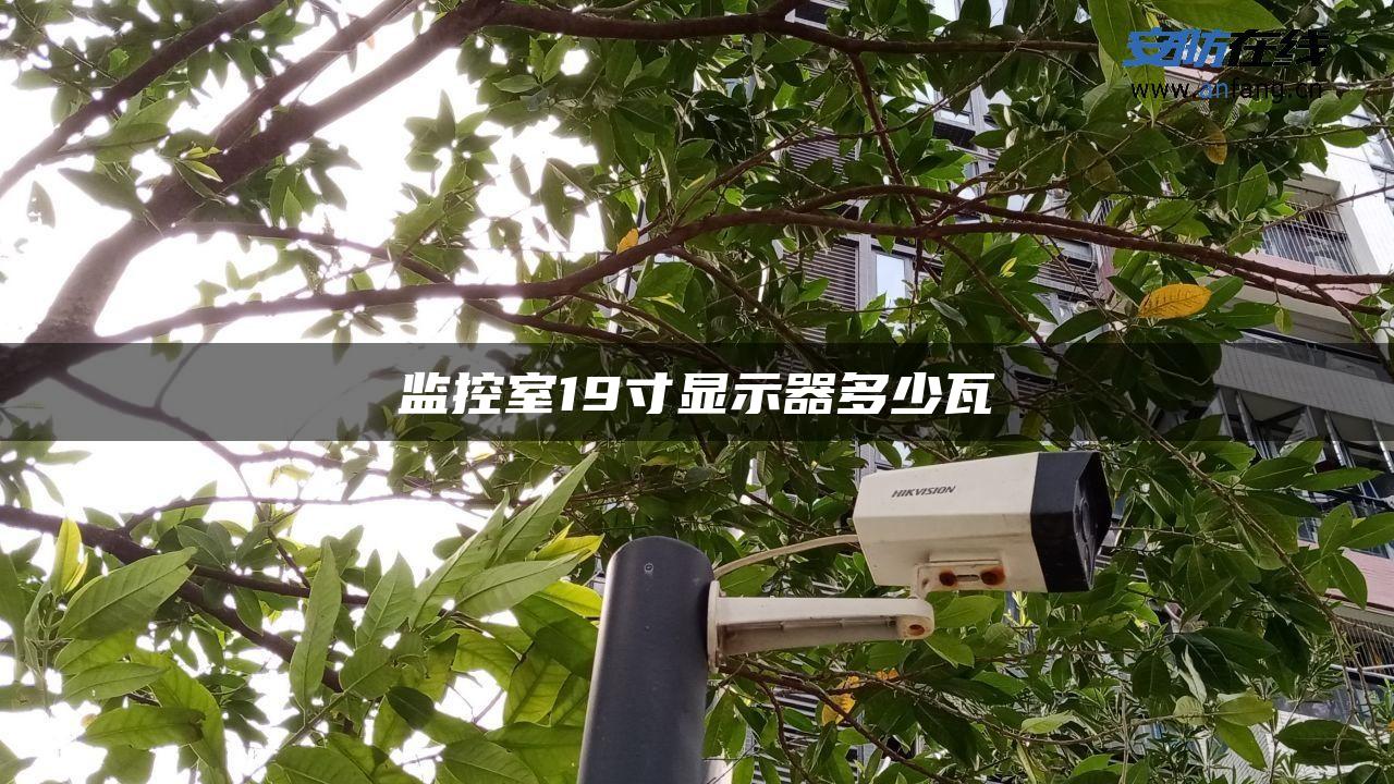 监控室19寸显示器多少瓦