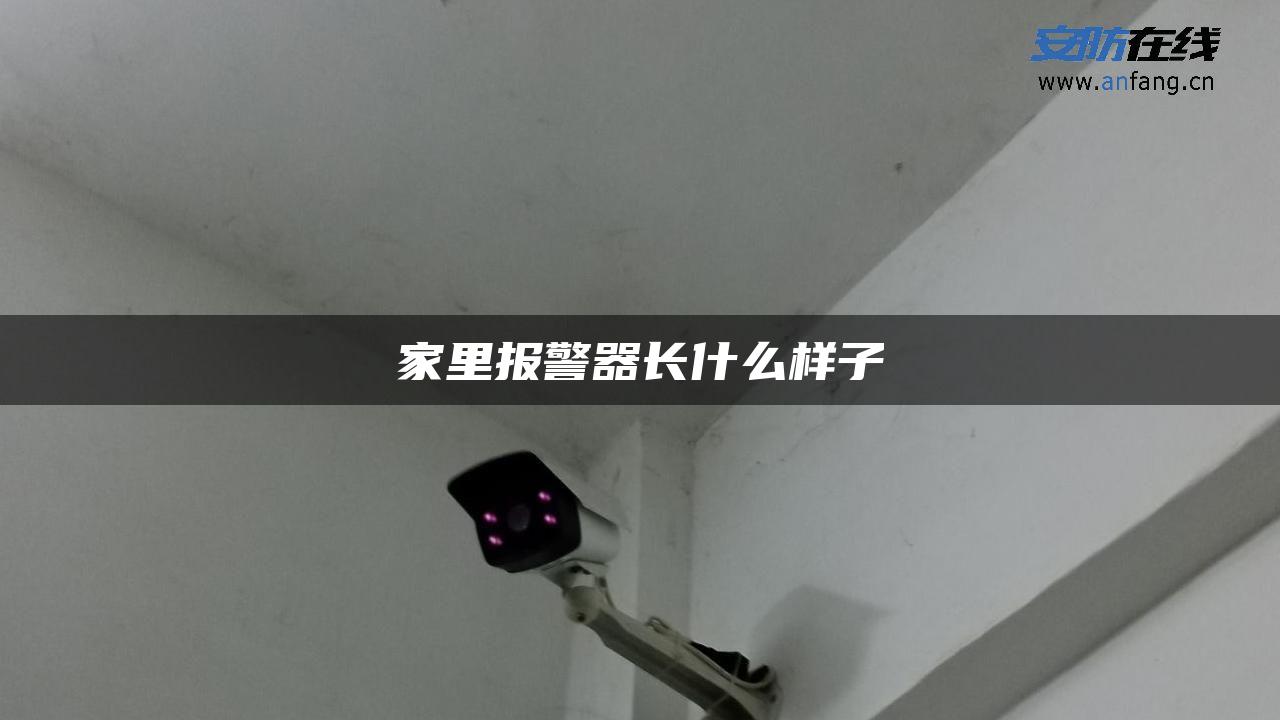 家里报警器长什么样子