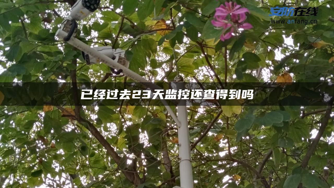 已经过去23天监控还查得到吗