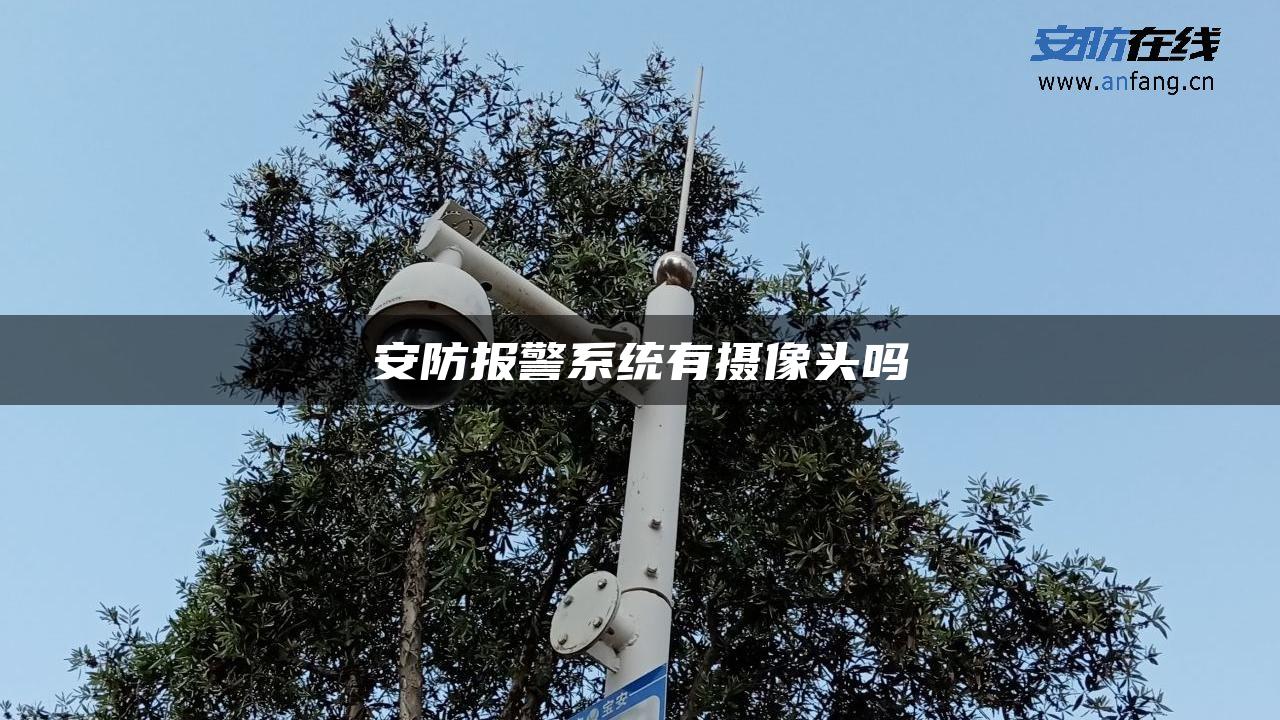 安防报警系统有摄像头吗