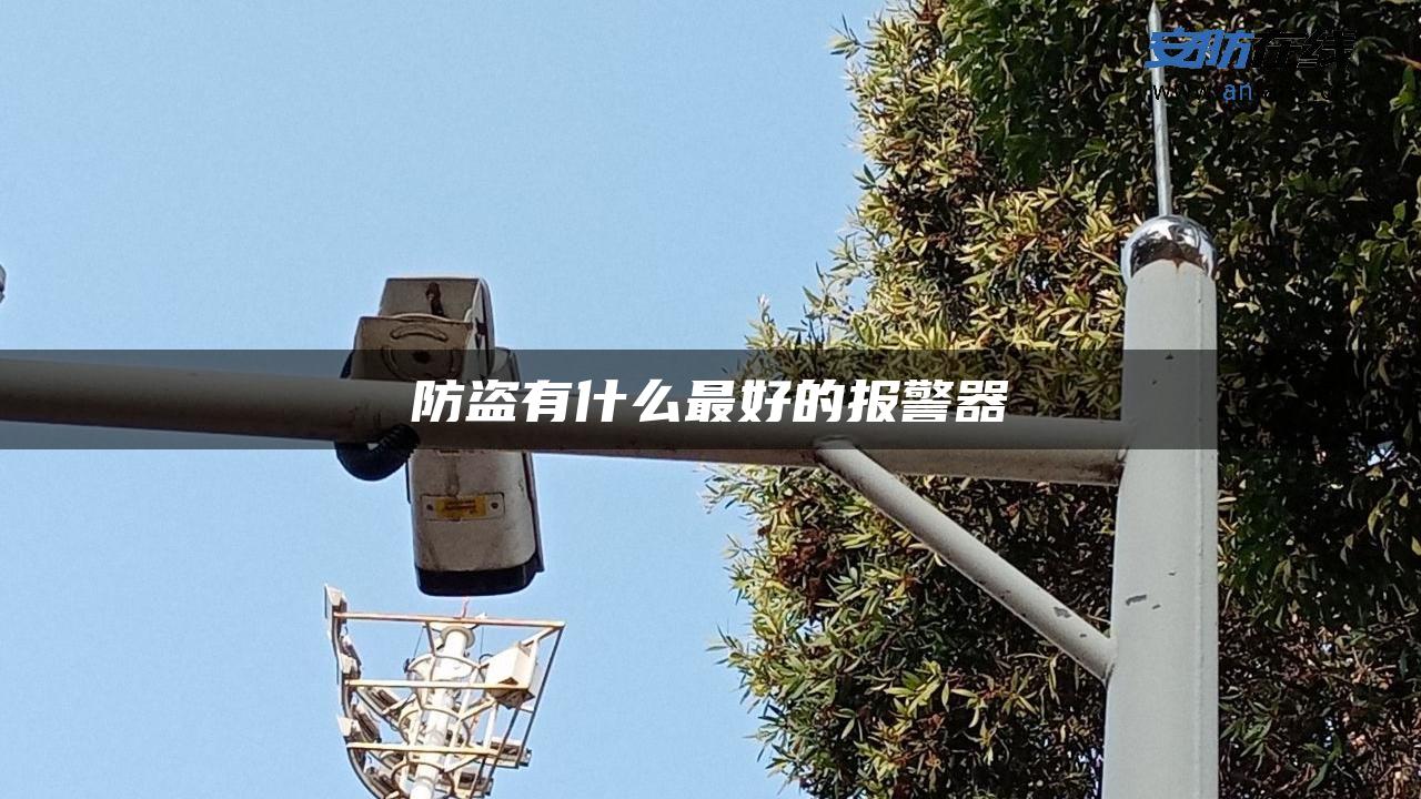 防盗有什么最好的报警器