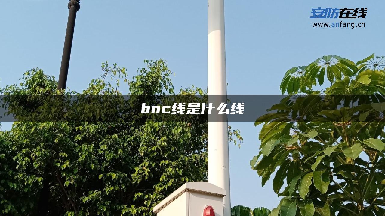 bnc线是什么线