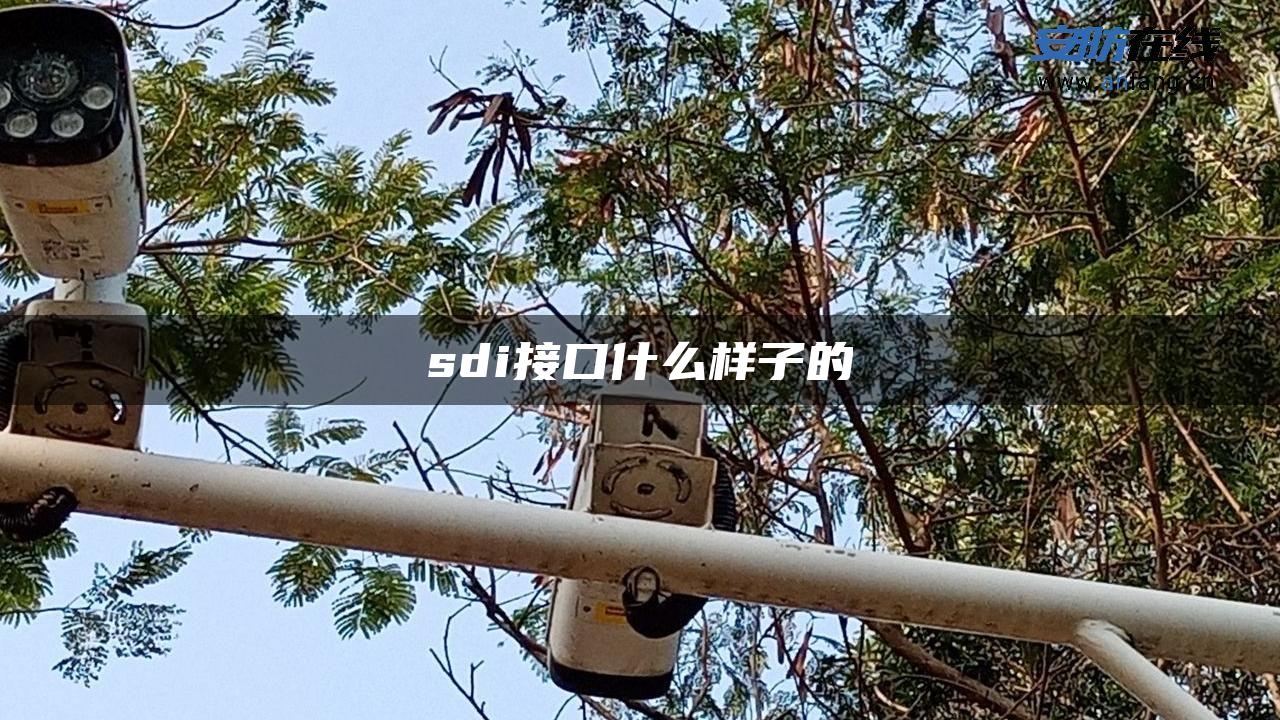 sdi接口什么样子的