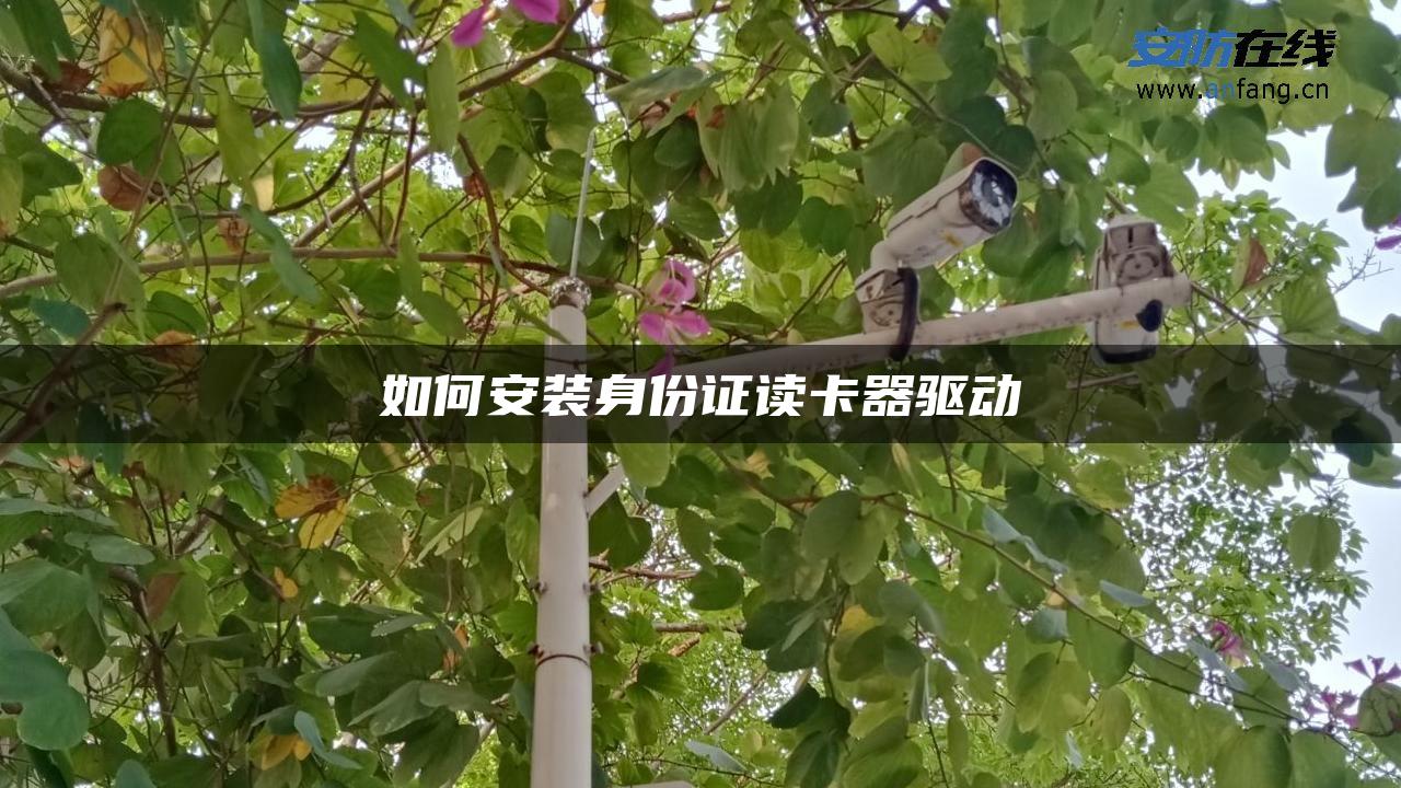 如何安装身份证读卡器驱动