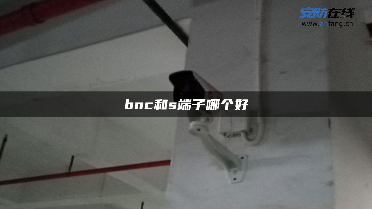 bnc和s端子哪个好