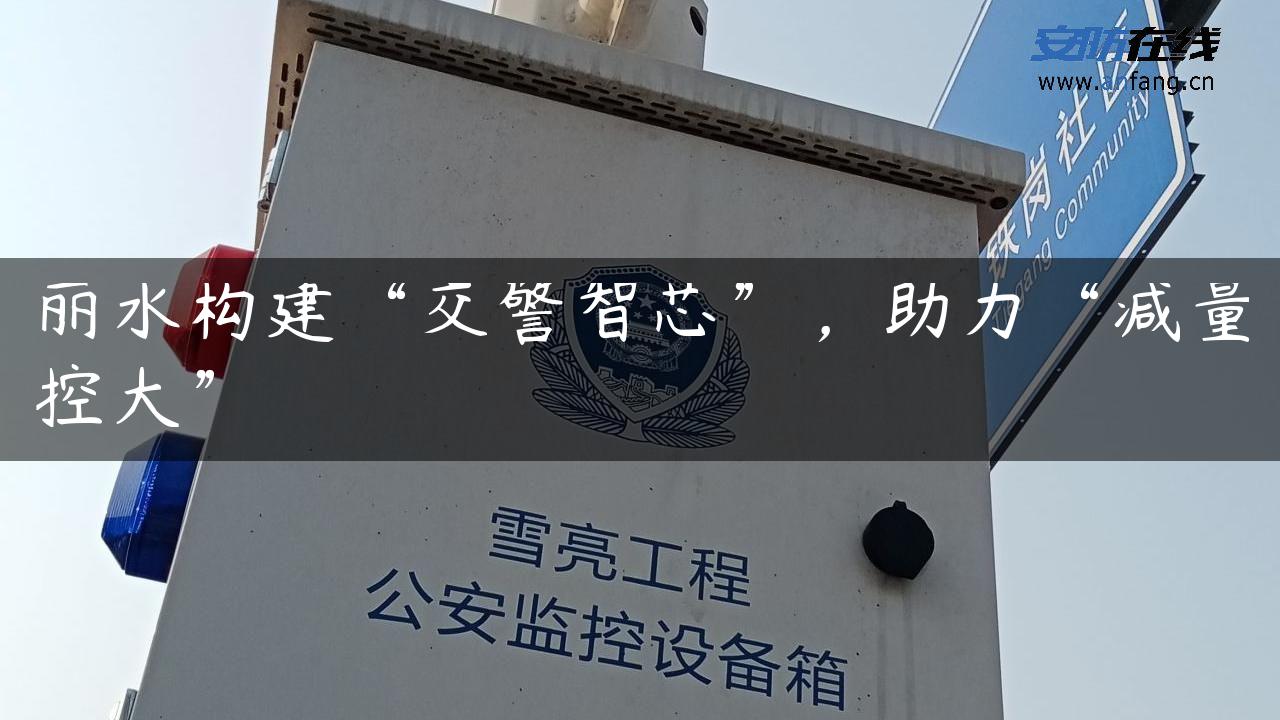 丽水构建“交警智芯”，助力“减量控大”