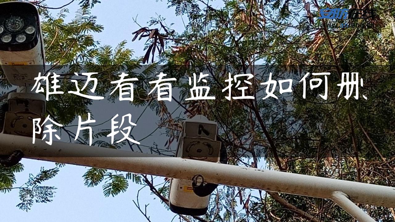 雄迈看看监控如何删除片段