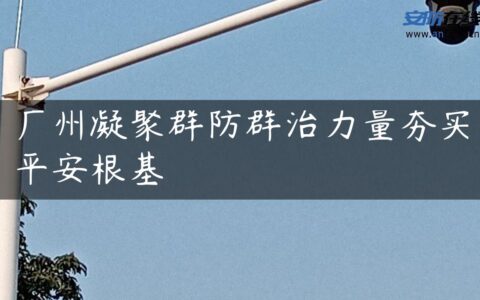 广州凝聚群防群治力量夯实平安根基