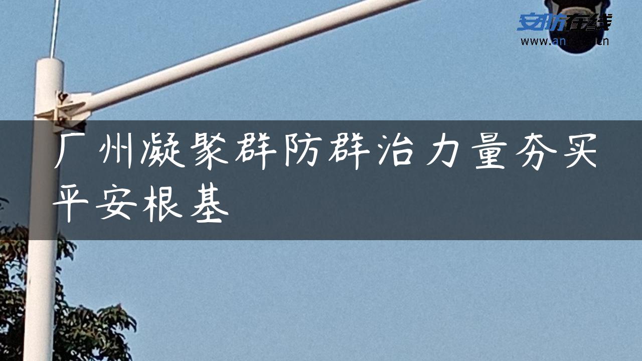 广州凝聚群防群治力量夯实平安根基