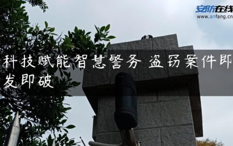 科技赋能智慧警务 盗窃案件即发即破