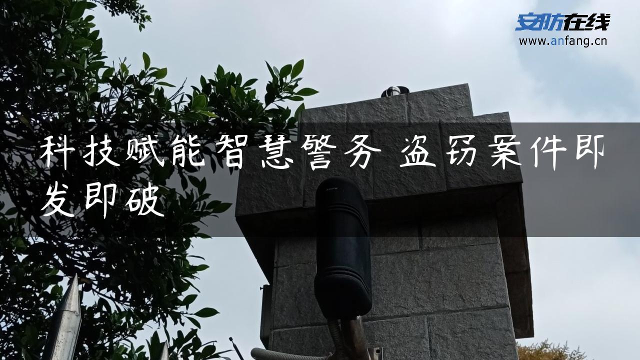 科技赋能智慧警务 **案件即发即破