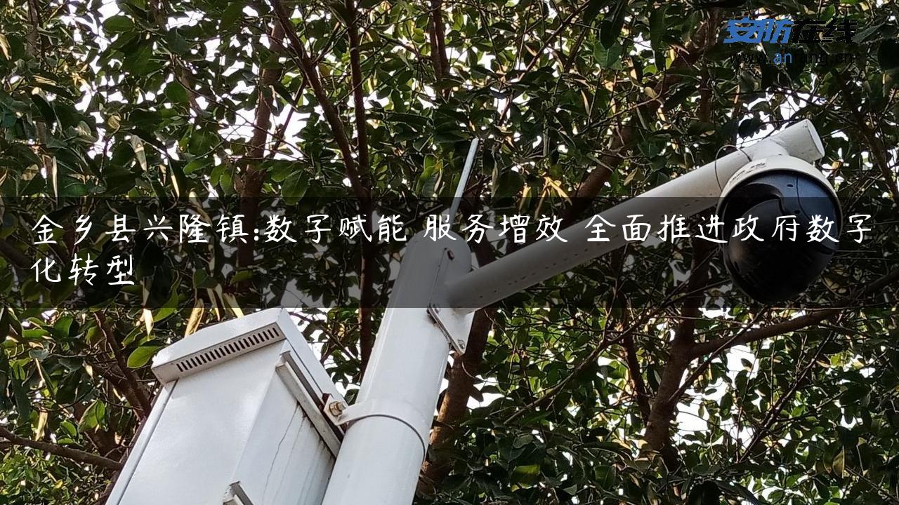 金乡县兴隆镇:数字赋能 服务增效 全面推进**数字化转型