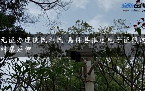 无证办理便民利民 嘉祥县推进电子证照向村居延伸