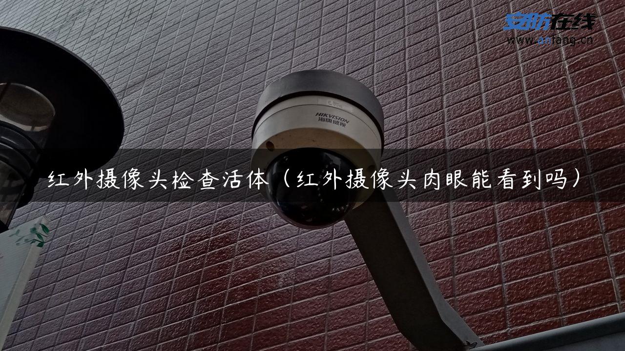 红外摄像头检查活体（红外摄像头肉眼能看到吗）