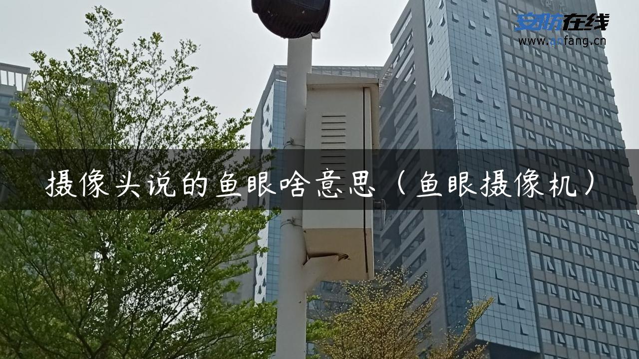 摄像头说的鱼眼啥意思（鱼眼摄像机）