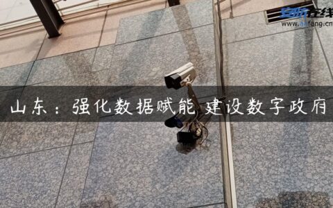 山东：强化数据赋能 建设数字政府