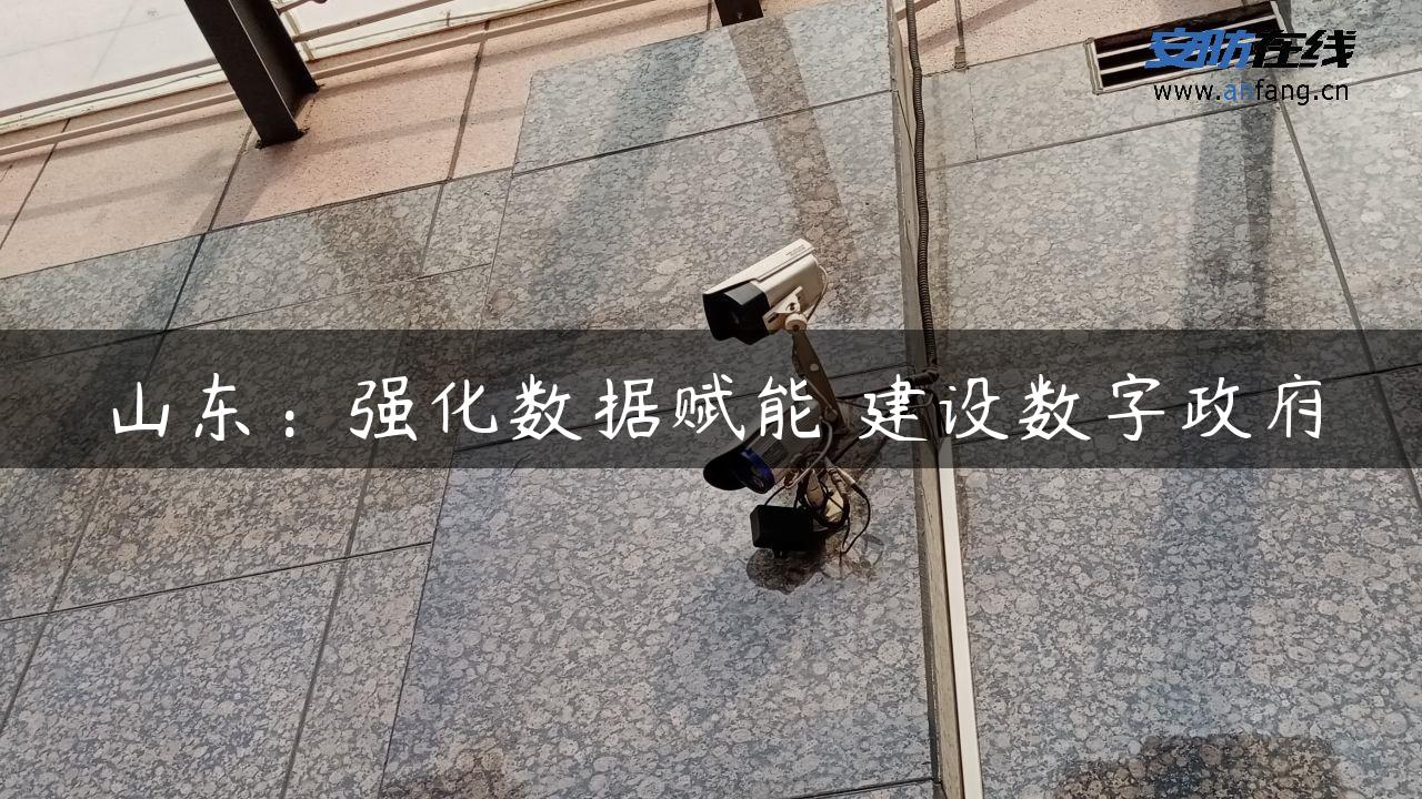 山东：强化数据赋能 建设数字**