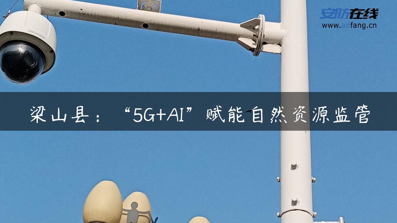 梁山县：“5G+AI”赋能自然资源监管