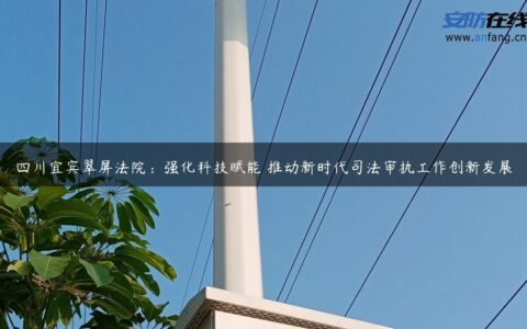 四川宜宾翠屏法院：强化科技赋能 推动新时代司法审执工作创新发展