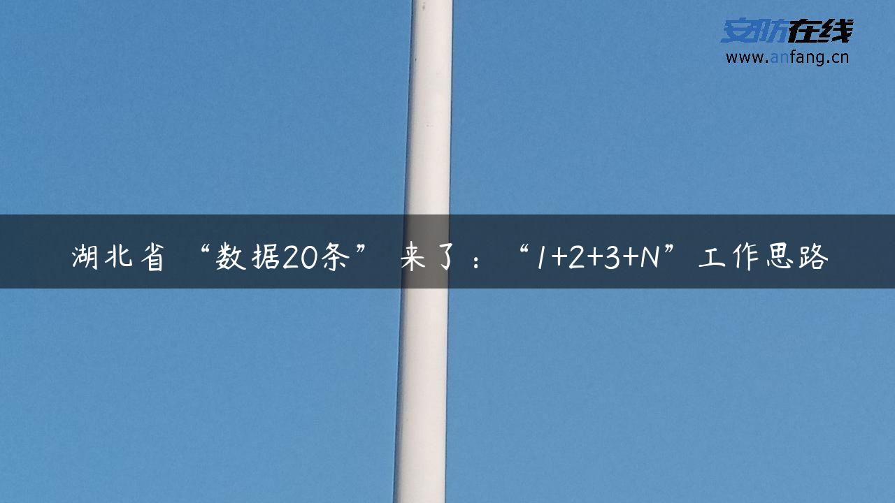 湖北省 “数据20条” 来了：“1+2+3+N”工作思路