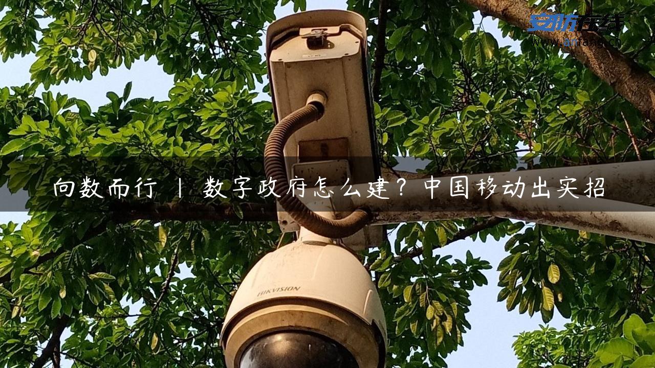 向数而行 | 数字**怎么建？中国移动出实招