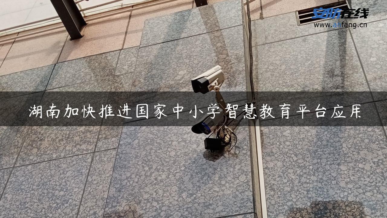 湖南加快推进国家中小学智慧教育平台应用