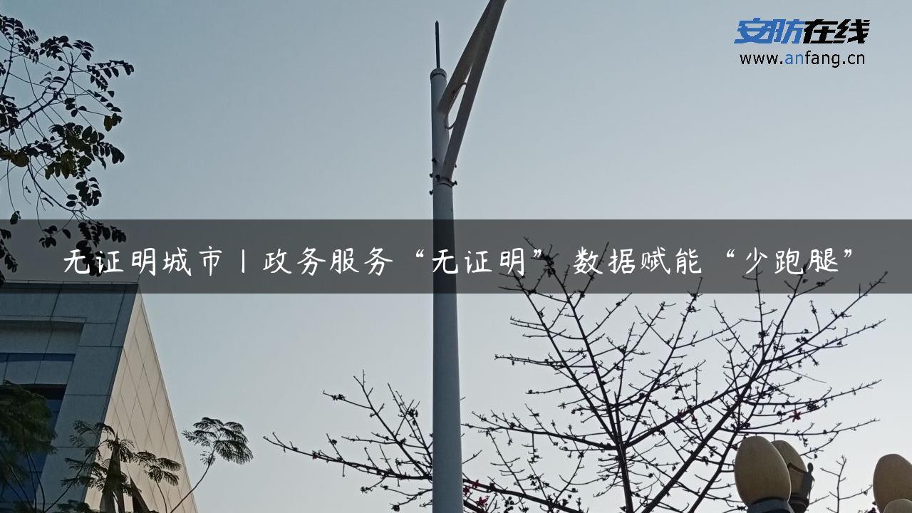 无证明城市丨政务服务“无证明” 数据赋能“少跑腿”