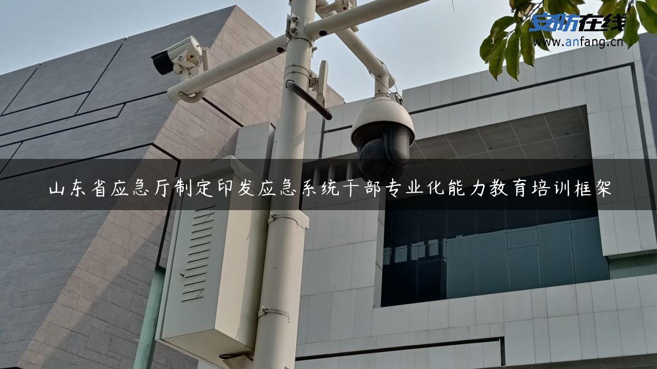 山东省应急厅制定印发应急系统干部专业化能力教育培训框架